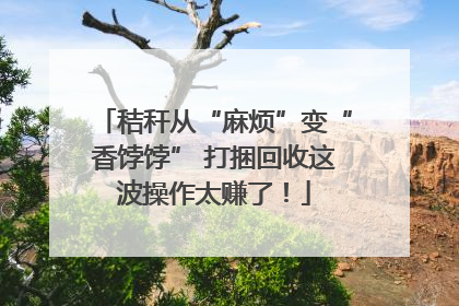秸秆从“麻烦”变“香饽饽” 打捆回收这波操作太赚了！