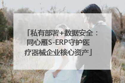 私有部署+数据安全：同心雁S-ERP守护医疗器械企业核心资产