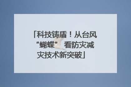 科技铸盾！从台风“蝴蝶” 看防灾减灾技术新突破
