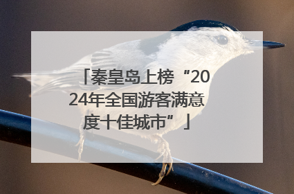 秦皇岛上榜“2024年全国游客满意度十佳城市”