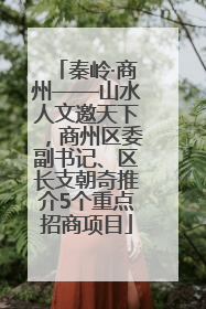 秦岭·商州——山水人文邀天下，商州区委副书记、区长支朝奇推介5个重点招商项目