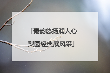 秦韵悠扬润人心 梨园经典展风采