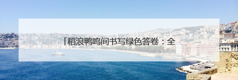 稻浪鸭鸣间书写绿色答卷：全国劳模田淑娴的田野振兴梦