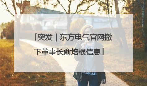 突发｜东方电气官网撤下董事长俞培根信息