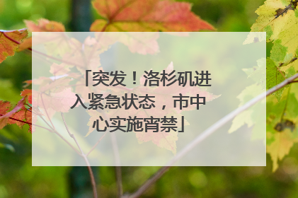 突发！洛杉矶进入紧急状态，市中心实施宵禁