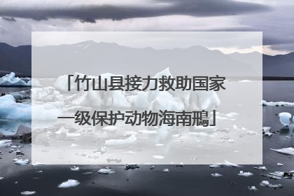 竹山县接力救助国家一级保护动物海南鳽