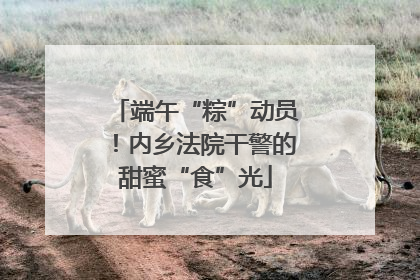 端午“粽”动员！内乡法院干警的甜蜜“食”光