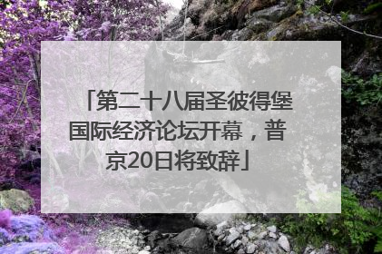第二十八届圣彼得堡国际经济论坛开幕，普京20日将致辞