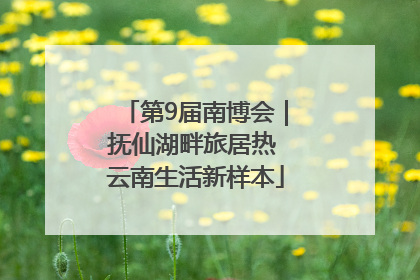 第9届南博会｜抚仙湖畔旅居热 云南生活新样本