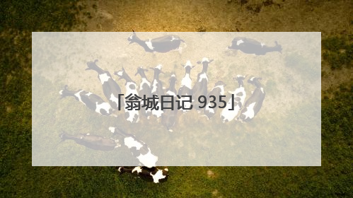 翁城日记 935