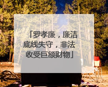 罗孝廉，廉洁底线失守，非法收受巨额财物