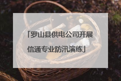 罗山县供电公司开展信通专业防汛演练
