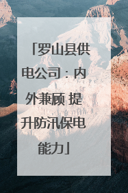 罗山县供电公司：内外兼顾 提升防汛保电能力