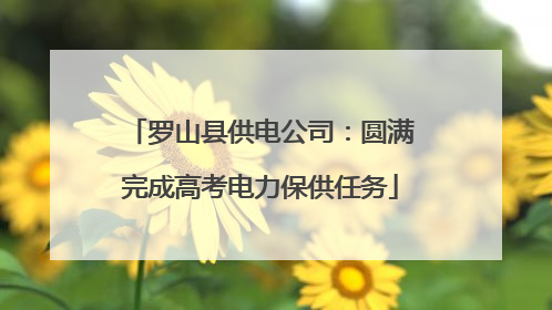 罗山县供电公司：圆满完成高考电力保供任务