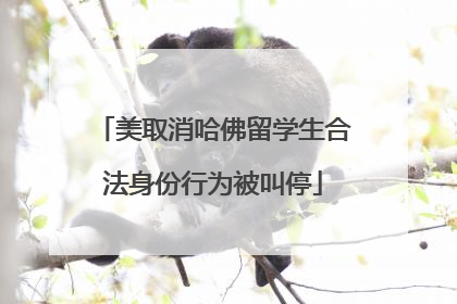 美取消哈佛留学生合法身份行为被叫停