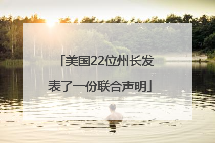 美国22位州长发表了一份联合声明