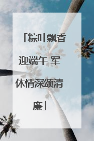 粽叶飘香迎端午 军休情深颂清廉