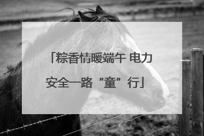 粽香情暖端午 电力安全一路“童”行