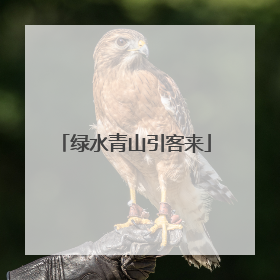 绿水青山引客来