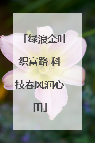 绿浪金叶织富路 科技春风润心田