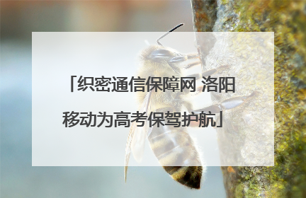 织密通信保障网 洛阳移动为高考保驾护航