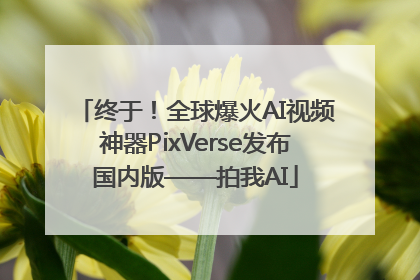 终于！全球爆火AI视频神器PixVerse发布国内版——拍我AI