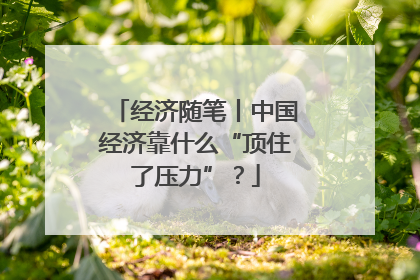 经济随笔丨中国经济靠什么“顶住了压力”？