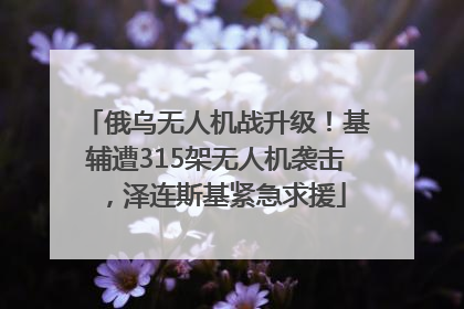 俄乌无人机战升级！基辅遭315架无人机袭击，泽连斯基紧急求援