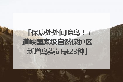 保康处处闻啼鸟！五道峡国家级自然保护区新增鸟类记录23种