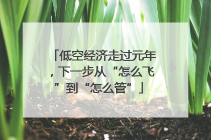 低空经济走过元年，下一步从“怎么飞”到“怎么管”