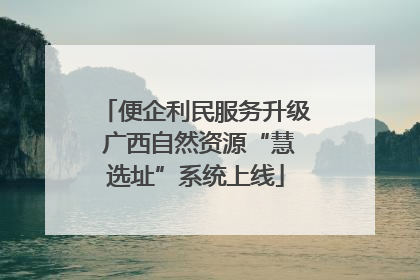 便企利民服务升级 广西自然资源“慧选址”系统上线
