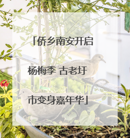侨乡南安开启杨梅季 古老圩市变身嘉年华