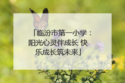 临汾市第一小学：阳光心灵伴成长 快乐成长筑未来