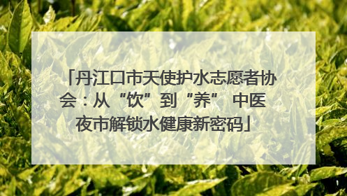 丹江口市天使护水志愿者协会：从“饮”到“养” 中医夜市解锁水健康新密码