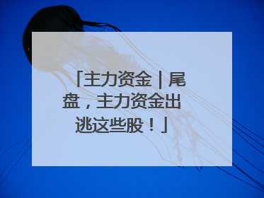 主力资金｜尾盘，主力资金出逃这些股！