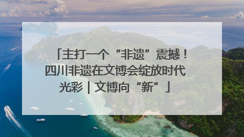 主打一个“非遗”震撼！四川非遗在文博会绽放时代光彩｜文博向“新”