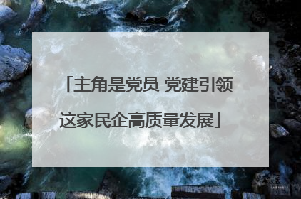 主角是党员 党建引领这家民企高质量发展