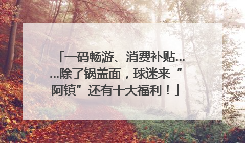 一码畅游、消费补贴……除了锅盖面，球迷来“阿镇”还有十大福利！
