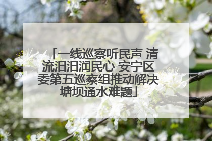 一线巡察听民声 清流汨汨润民心 安宁区委第五巡察组推动解决塘坝通水难题