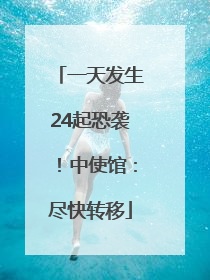 一天发生24起恐袭！中使馆：尽快转移