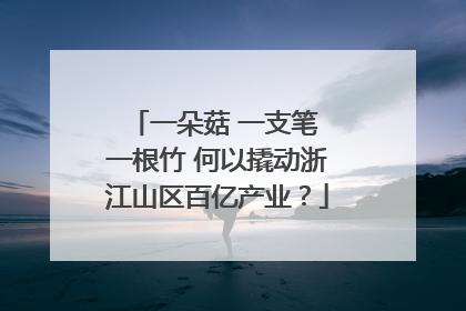 一朵菇 一支笔 一根竹 何以撬动浙江山区百亿产业？