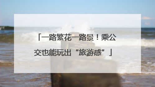 一路繁花一路景！乘公交也能玩出“旅游感”