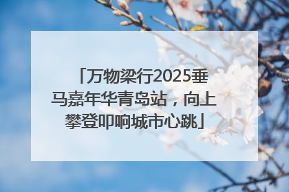 万物梁行2025垂马嘉年华青岛站，向上攀登叩响城市心跳