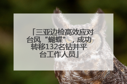 三亚边检高效应对台风“蝴蝶”，成功转移132名钻井平台工作人员