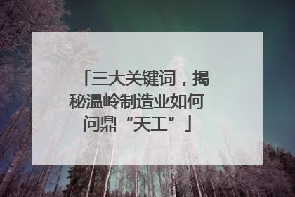 三大关键词，揭秘温岭制造业如何问鼎“天工”