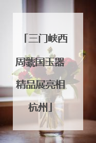 三门峡西周虢国玉器精品展亮相杭州