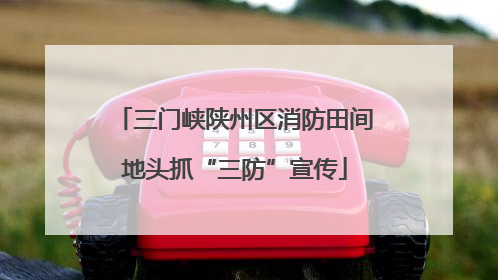 三门峡陕州区消防田间地头抓“三防”宣传