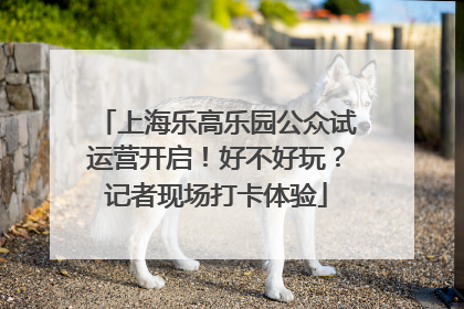 上海乐高乐园公众试运营开启！好不好玩？记者现场打卡体验