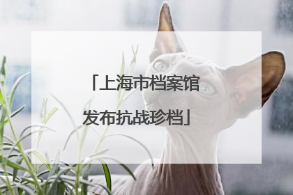 上海市档案馆发布抗战珍档