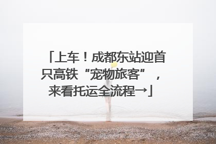 上车！成都东站迎首只高铁“宠物旅客”，来看托运全流程→